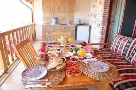 Istlada Tas EV Apart - 22