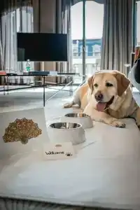 Mandarin Oriental, Barcelona - 26