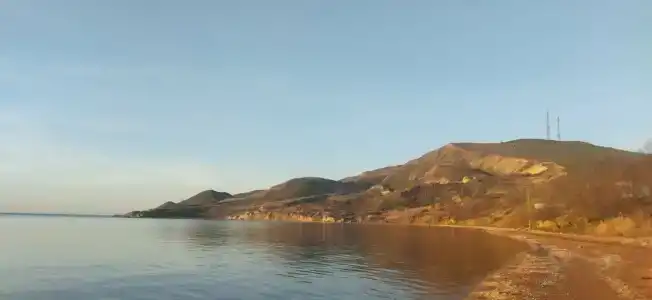 Ambassador - 60