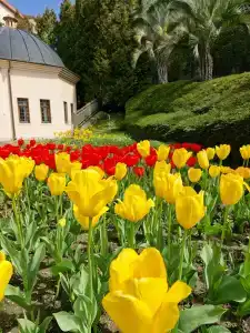 Odisseya Resort - 32