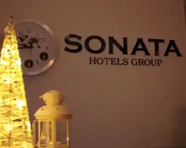 Соната на Владимирской площади - 31