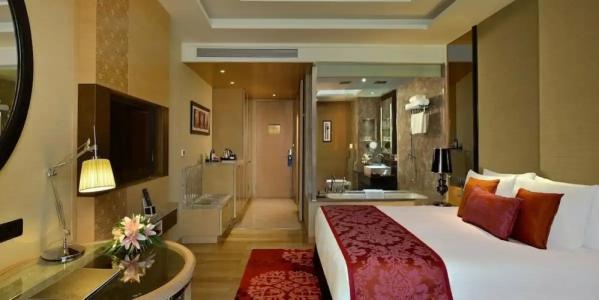 Radisson Blu Jaipur - 57