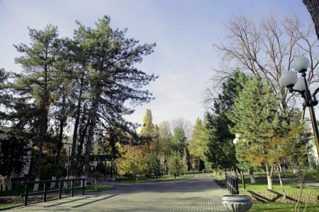 Residence Park - 17