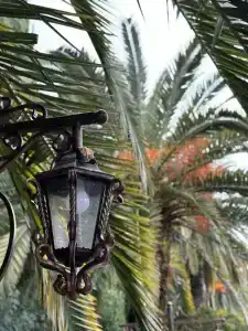 Im. Chelyuskintsev Sanatorium - 40