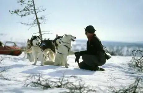 Holiday Club Saariselkä Superior Apartments - 20