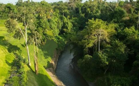 Sthala, A Tribute Portfolio, Ubud Bali - 5
