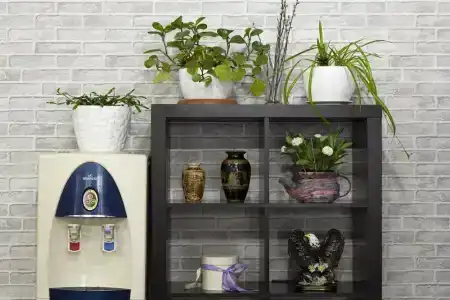 Три Мушкетера - 54