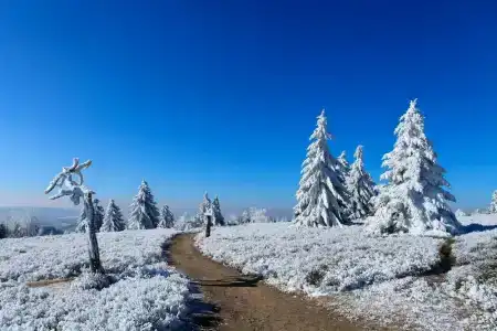 Hapimag Resort Winterberg - 3