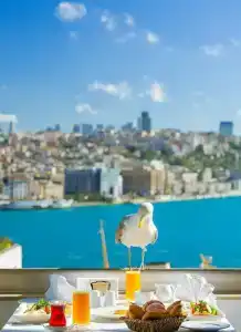 Legacy Ottoman - 25