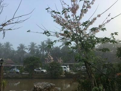 Ruean Thai Nai Bang by Pansak Resort - 22