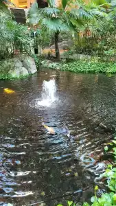 Grand Hyatt Dubai - 95