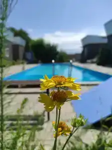 Recreation center Madagaskar - 90