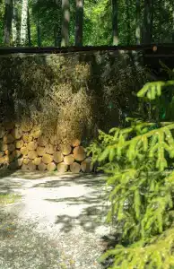 Baza Otdykha Monte-Karlo - 54