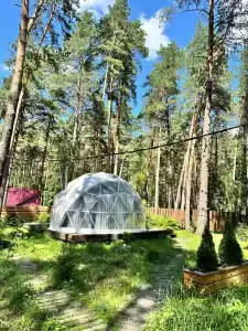 Kupolnaya baza Royal Forest - 45