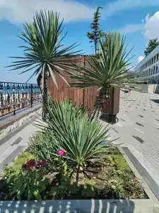 COOCOOROOZA Resort - 10