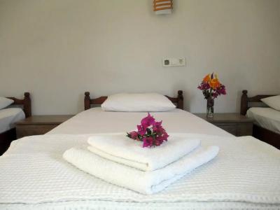 Eucalyptus Pension - 23