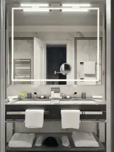 Cosmos Selection Saint-Petersburg Italyanskaya - 19