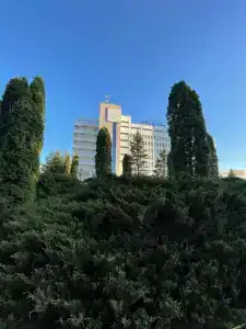 Медикал Спа Резорт Альфа Радон - 45