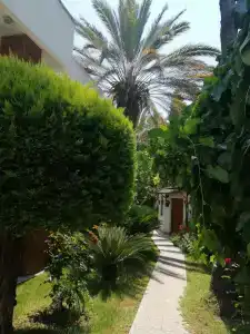 Antik Garden - All Inclusive - 48