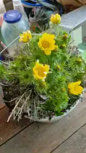 Klub Tikhaya Zavod Tourist base - 31