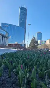 Hayatt Ridzhensi Ekaterinburg - 28