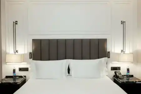 Cosmos Selection Saint-Petersburg Italyanskaya - 33