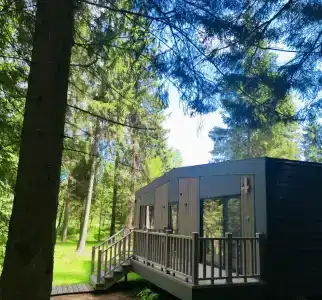 Neshalashi Lesnoy - 2