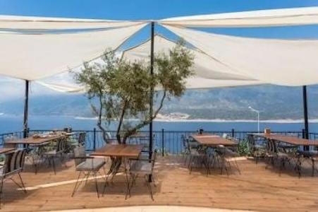 Hillcity - Adults Only - 22