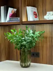 Ampir Belorusskaya Moscow - 25