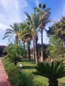 Aydinbey Gold Dreams - Ultra All Inclusive - 19