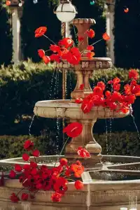 Парк-Замковый - 38