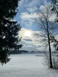 Park-Torbeevo Ozero - 47