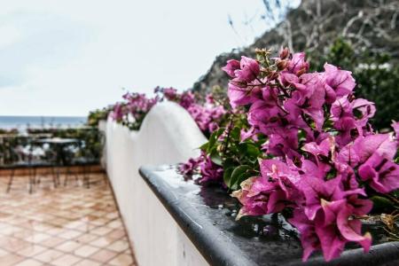 Positano Art Pasitea - 13