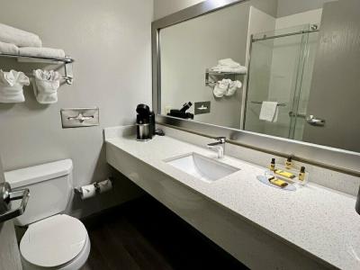 Stay Express Inn & Suites Houston Hobby Airport - 57