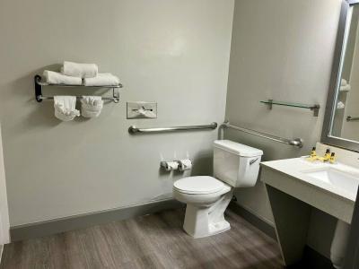 Stay Express Inn & Suites Houston Hobby Airport - 59