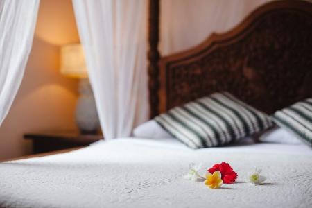 Honeymoon Guesthouse - 2