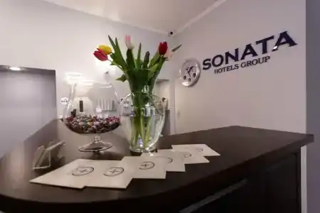 Соната на Владимирской площади - 36