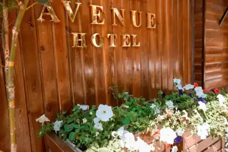 Avenue - 4