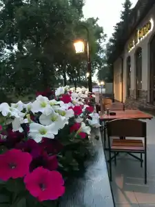 M-Otel' - 37