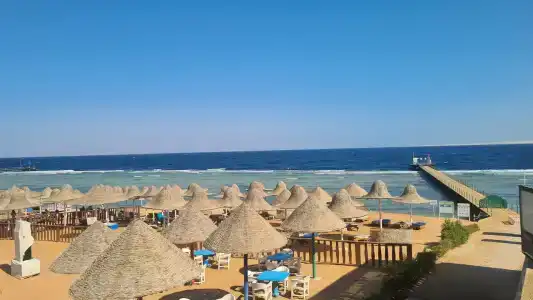 Parrotel Beach Resort - 15