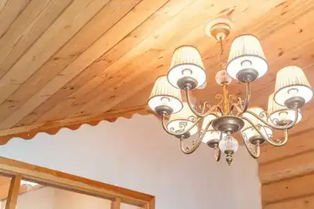 Orlovskoe Pomestie - 30