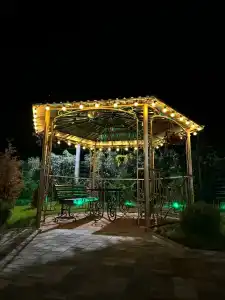 Zelenyy dvor - 12