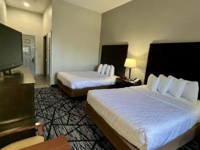 Stay Express Inn & Suites Houston Hobby Airport - 60