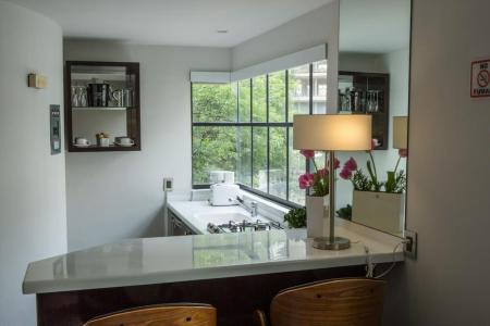 FlowSuites Polanco - 30
