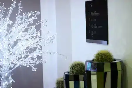 Stelle The Businest - 24