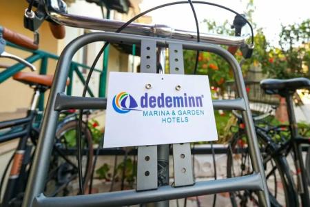 Dedeminn Marina - 17