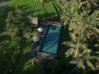 The Artini Dijiwa Ubud - 35