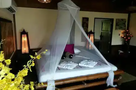 Viking Nature Resort - 5