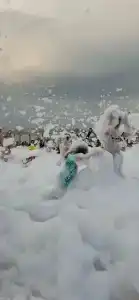 ОАЗИС домики - 10