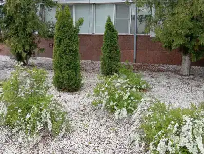 Livadiya Sanatorium - 32